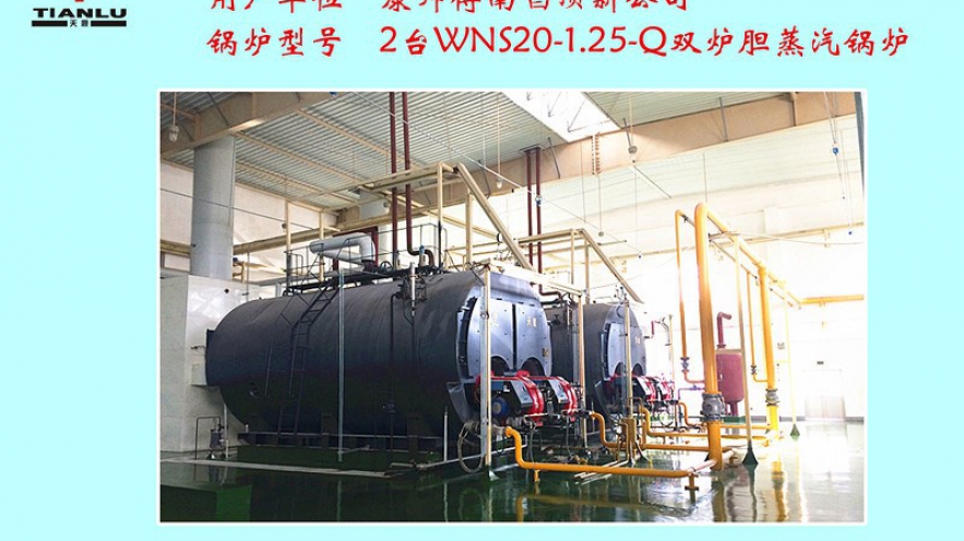 康師傅南唱頂新公司2臺WNS20-1.25-Q雙爐膽蒸汽鍋爐 康師傅南唱頂新公司2臺WNS20-1.25-Q雙爐膽蒸汽鍋爐